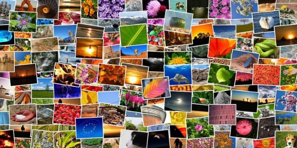 Fotogalerie- přidány fotky ze závodů